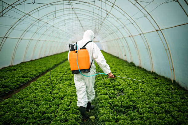 Pest Control Cost in Eastover, NC