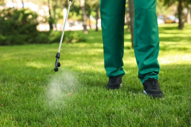 Best Mosquito Control Services  in Eastover, NC