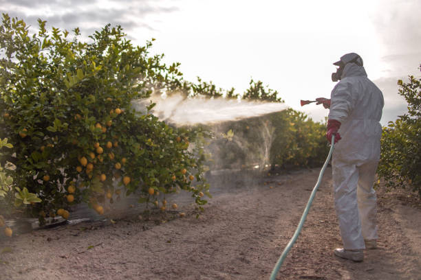 Best Best Pest Control Companies  in Eastover, NC
