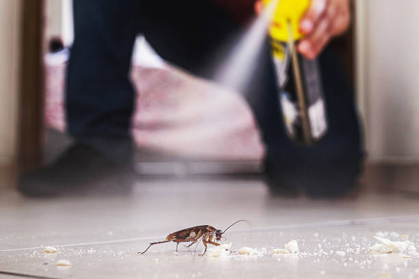 Best Cockroach Control Services  in Eastover, NC