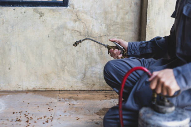 Best Termite Control Services  in Eastover, NC